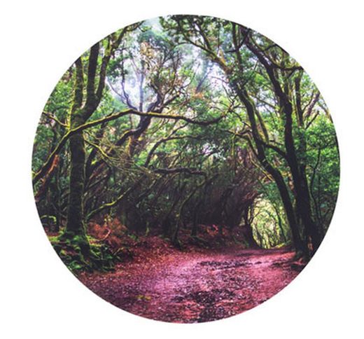 Alfombrilla semi-traslucidas aventura en el Bosque