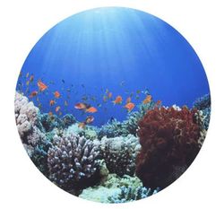 Alfombrilla semi-traslucidas aventura en el Mar