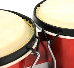Bongo basic