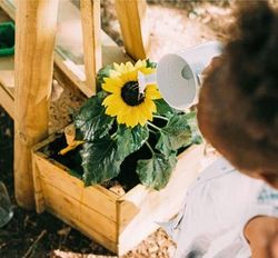 Caballete de pintura infantil natur