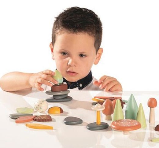 Caja creativa universo bosque