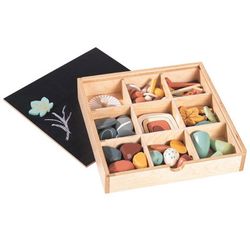 Caja creativa universo bosque