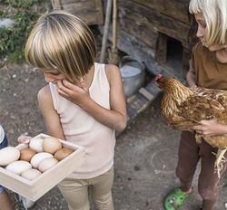 Caja de madera jugamos a clasificar y almacenar heurística