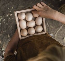 Caja de madera jugamos a clasificar y almacenar heurística
