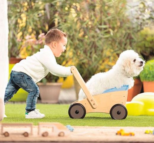 Carrito andador