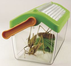 Casa de insectos