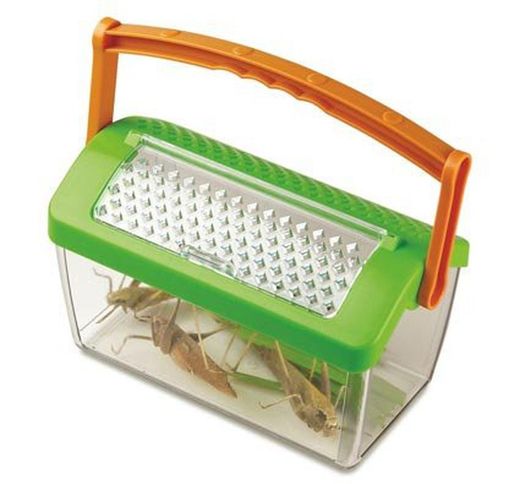 Casa de insectos