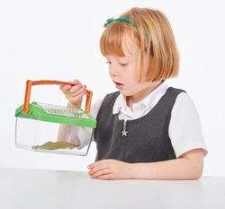 Casa de insectos