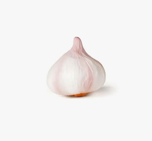 Contenedor hortalizas