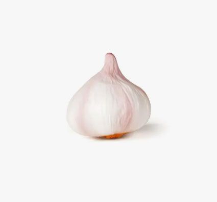 Contenedor hortalizas