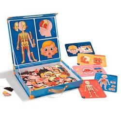 Cuerpo humano magnético