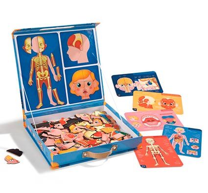 Cuerpo humano magnético