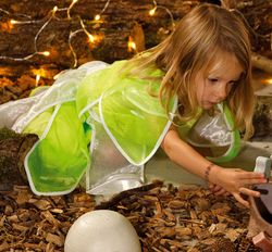 Disfraz premium la hada