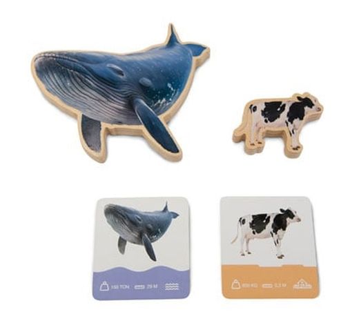 Encaje puzzle Animales los tamaños