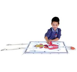 Esqueleto de plastico traslucido