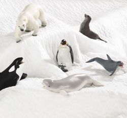 Figuritas animales polares