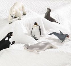 Figuritas animales polares