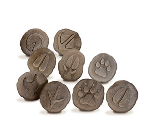 Huellas animales de la granja