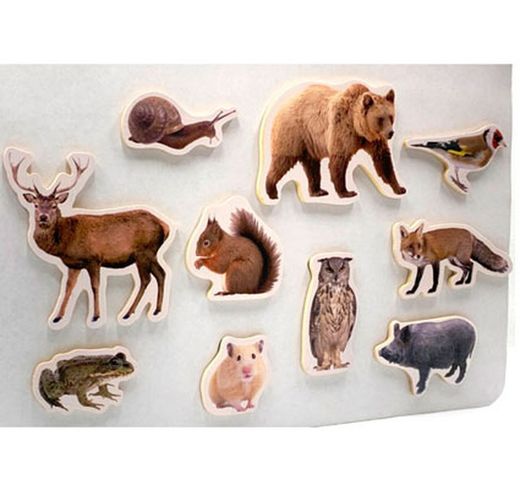 Imanes ANIMALES DEL BOSQUE