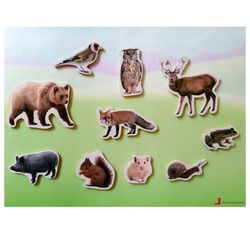 Imanes ANIMALES DEL BOSQUE