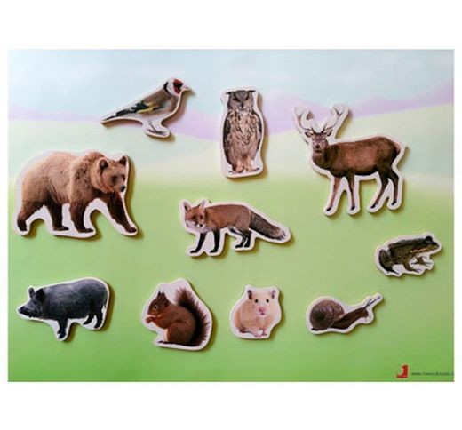Imanes ANIMALES DEL BOSQUE
