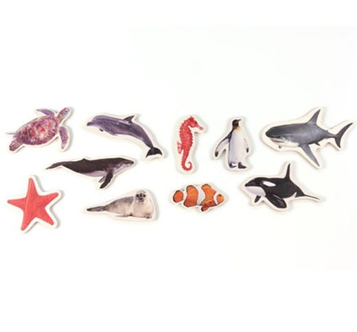 Imanes ANIMALES MARINOS
