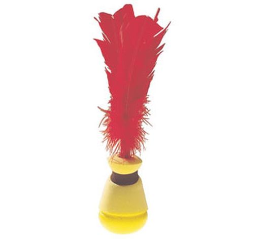 Indiaca soft