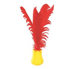 Indiaca soft