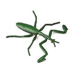 Insectos