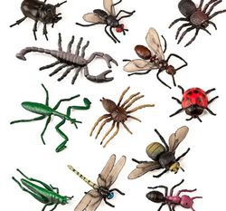 Insectos