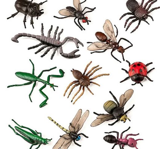 Insectos