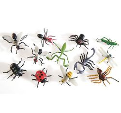 Insectos