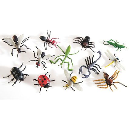 Insectos