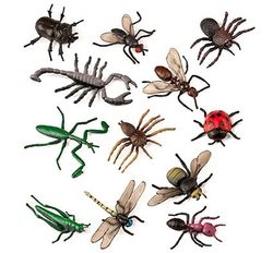 Insectos