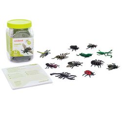 Insectos