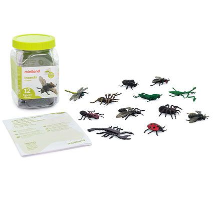 Insectos