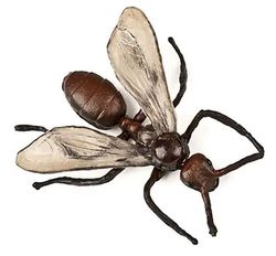Insectos
