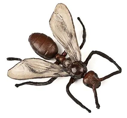 Insectos