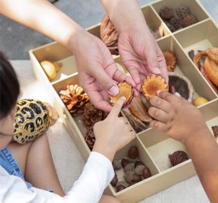 Kit STEAM Formas geométricas de la naturaleza primera edad