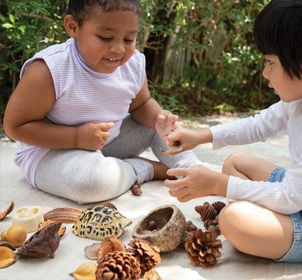 Kit STEAM Formas geométricas de la naturaleza primera edad