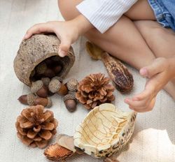 Kit STEAM Formas geométricas de la naturaleza primera edad