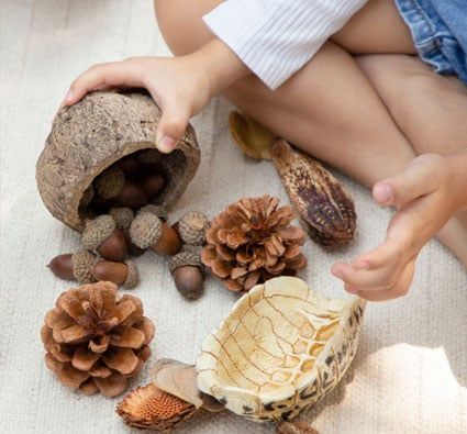 Kit STEAM Formas geométricas de la naturaleza primera edad