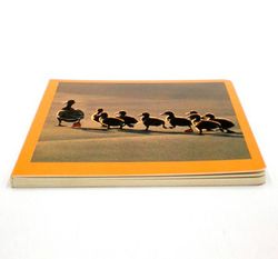 Libro imágenes animales familias i