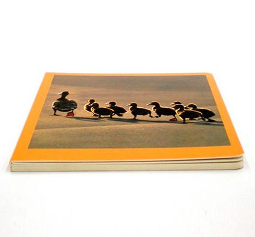 Libro imágenes animales familias i