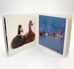 Libro imágenes animales familias i