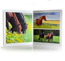 Libro imágenes reales animales de la Granja gran formato