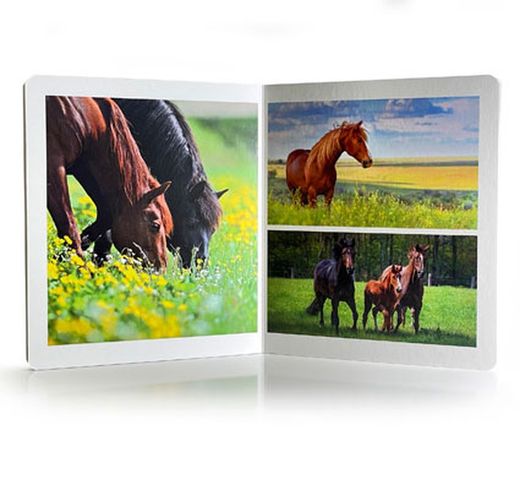 Libro imágenes reales animales de la Granja gran formato