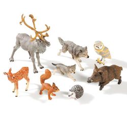 Los animales del bosque
