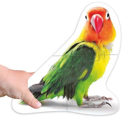 Maxi puzzles los animales