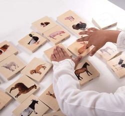 Memo realista las parejas animales domésticos